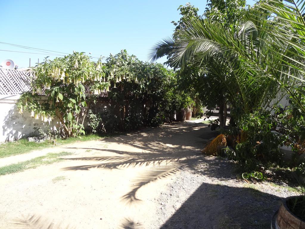 Hostal Vida 2000 Santa Cruz Luaran gambar